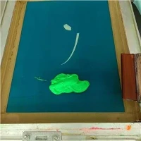 Screen Printing Ink Rau Silk