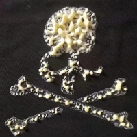 Puff Ink Rau Screen Printing